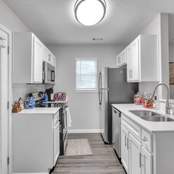 kitchen at Lakeview Oaks Apartments in Savannah, GA